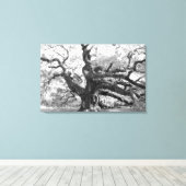 Angel Oak on canvas キャンバスプリント (インサイチュ (ウッドフロア))