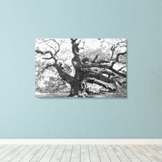 Angel Oak on canvas キャンバスプリント (インサイチュ (ウッドフロア))