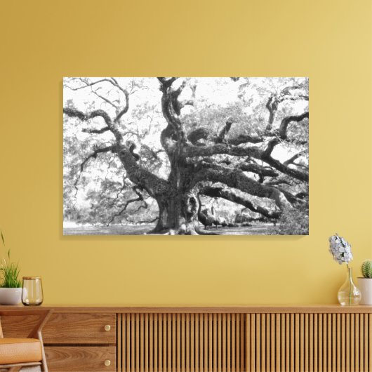 Angel Oak on canvas キャンバスプリント (インサイチュ (リビング))