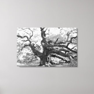 Angel Oak on canvas キャンバスプリント