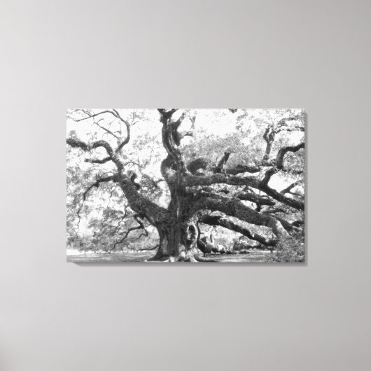 Angel Oak on canvas キャンバスプリント (正面)