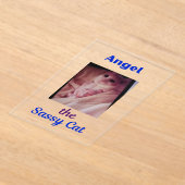 Angel the Sassy Cat Acrylic Invitations アクリル招待状 (レイダウン)