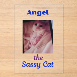 Angel the Sassy Cat Acrylic Invitations アクリル招待状