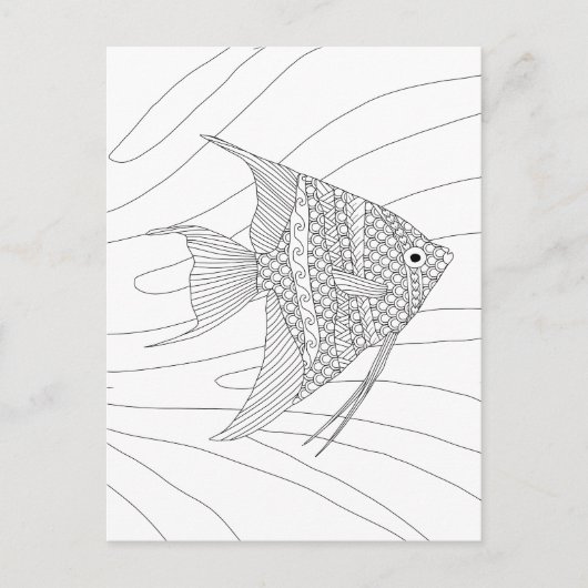 Angelfishの大人の着色の郵便はがき ポストカード (正面)