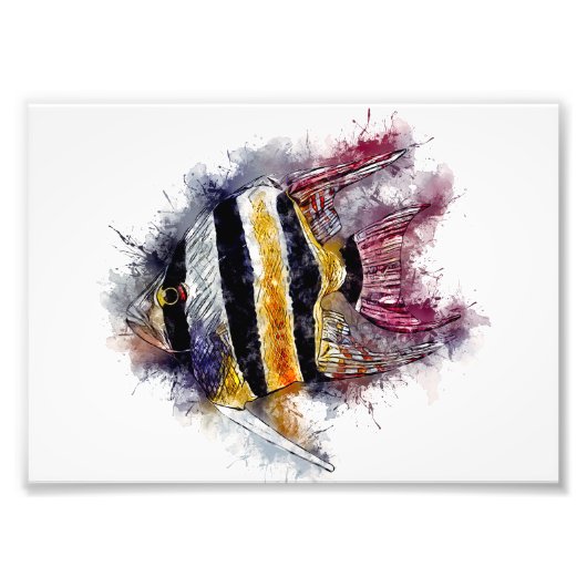AngelFish Water Color Aquarium海の生物アート フォトプリント (正面)