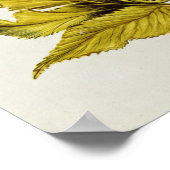 Angelica, from 'La Guirlande de de Julie', c.1642 ポスター (角)