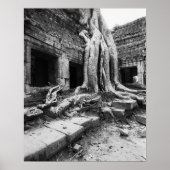 Angkor Cambodia, Ta Prohm Tree ポスター (正面)