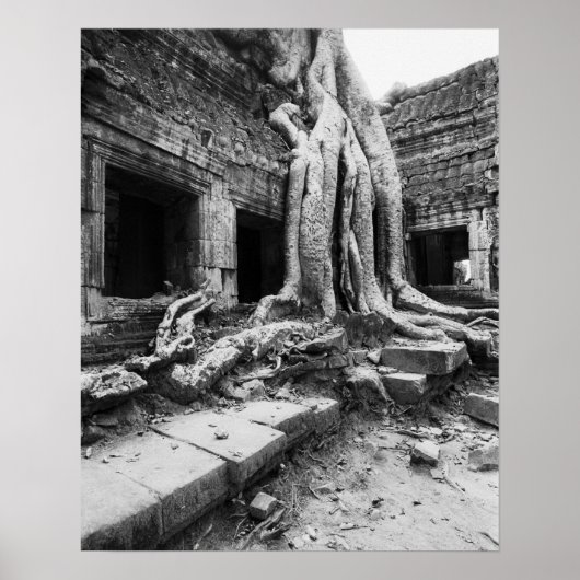 Angkor Cambodia, Ta Prohm Tree ポスター (正面)