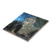 Angkor wat, Ta som temple – カンボジア，アジア タイル (側面)