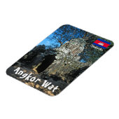 Angkor wat, Ta som temple – カンボジア，アジア マグネット (左側)