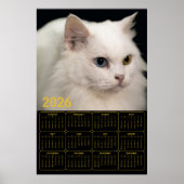 Angora Cat with Heterochromia – 2026 Calendar  ポスター (正面)