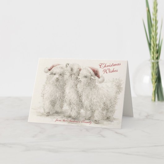 Angora Christmas Goats  カード (正面)