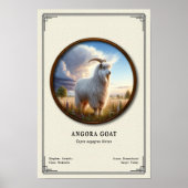 Angora Goat Zoology Series ポスター (正面)