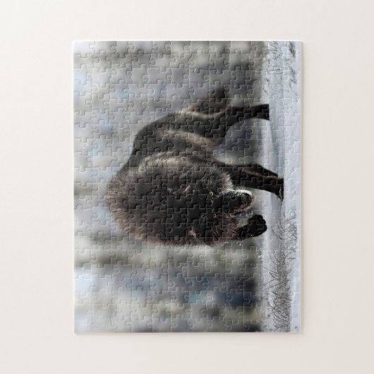 Angry black wolf ジグソーパズル (縦)