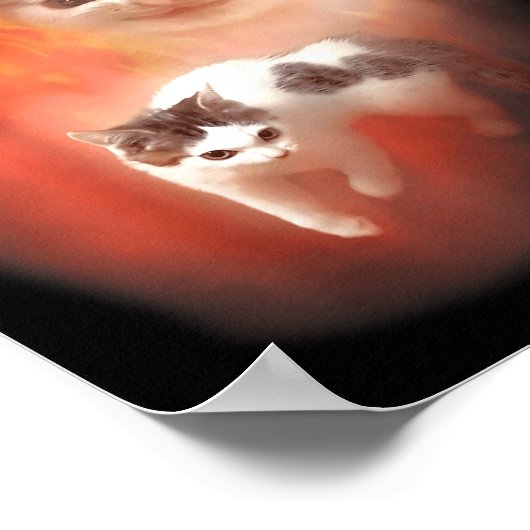 Angry Cat Meme Funny Silly Cat Kitten Lover Humor  ポスター (角)