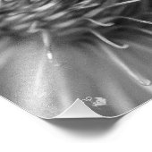 anhänglich - Premium Fotodruck Satin schwarzweiß フォトプリント (角)