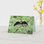 Anhinga (0071)グリーティングカード カード (黄色い花)