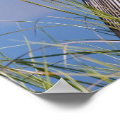 Anhinga at the Pond ポスター (角)