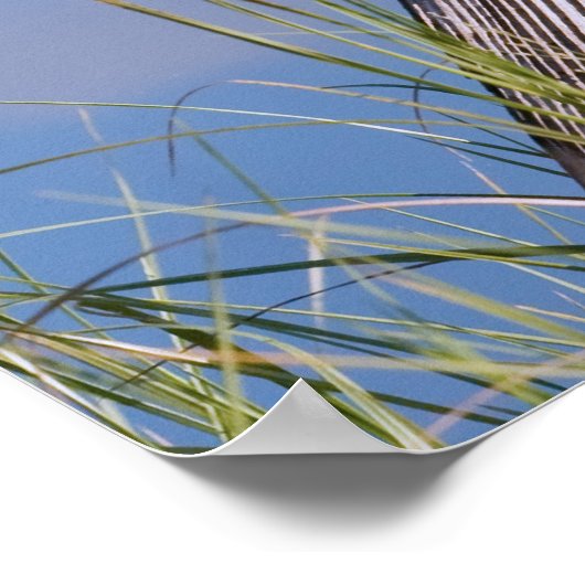 Anhinga at the Pond ポスター (角)