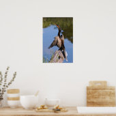 Anhinga at the Pond ポスター (キッチン)