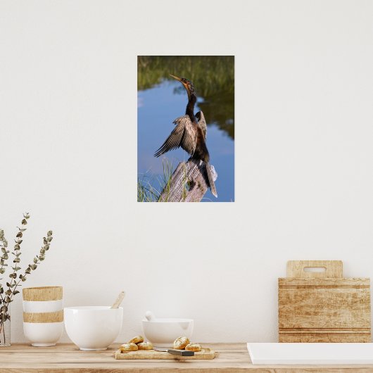 Anhinga at the Pond ポスター (キッチン)