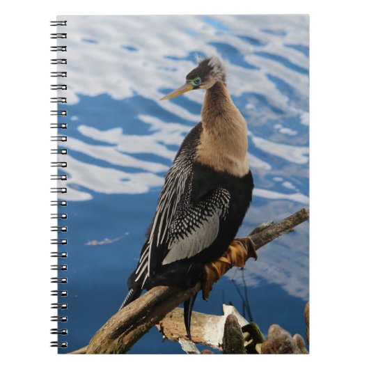 Anhinga Birdフォトスパイラル手帳 ノートブック (正面)