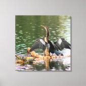 Anhinga Bird Canvas Print キャンバスプリント (正面)