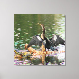 Anhinga Bird Canvas Print キャンバスプリント