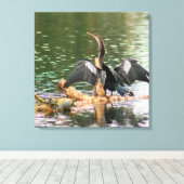 Anhinga Bird Canvas Print キャンバスプリント (インサイチュ (ウッドフロア))