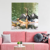 Anhinga Bird Canvas Print キャンバスプリント (インサイチュ (リビング))