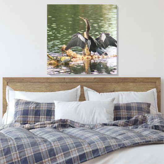 Anhinga Bird Canvas Print キャンバスプリント (インサイチュ (寝室))