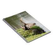 Anhinga Bird Spiralフォトノートブック ノートブック (右側)