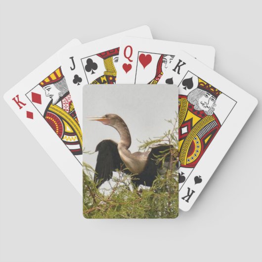 Anhinga Bird Standardトランプ トランプ (裏面)