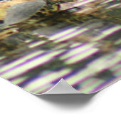 Anhinga Draying Hafers Photo Poster ポスター (角)