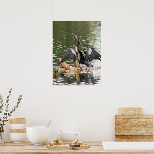 Anhinga Draying Hafers Photo Poster ポスター (キッチン)