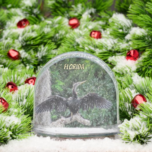 Anhinga in the Sun – Florida Wetlands Oil Painting (クリスマス)