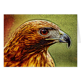 Animal01