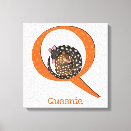 Animal ABC Qはquoll canvas print用 キャンバスプリント (正面)