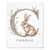 Animal Alphabet Letter C Kids Name Bunny Poster フォトプリント (正面)