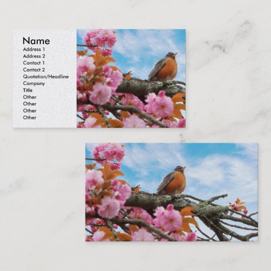 Animal - Bird - First robin of spring 名刺 (正面/裏面)