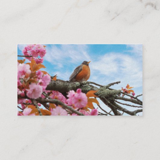 Animal - Bird - First robin of spring 名刺 (裏面)