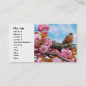 Animal - Bird - First robin of spring 名刺 (正面)