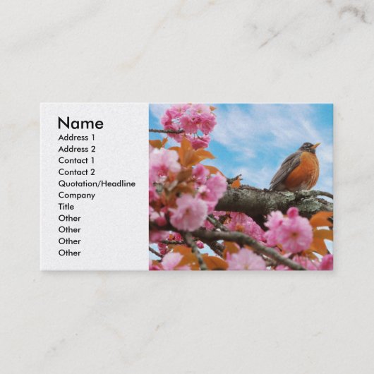 Animal - Bird - First robin of spring 名刺 (正面)