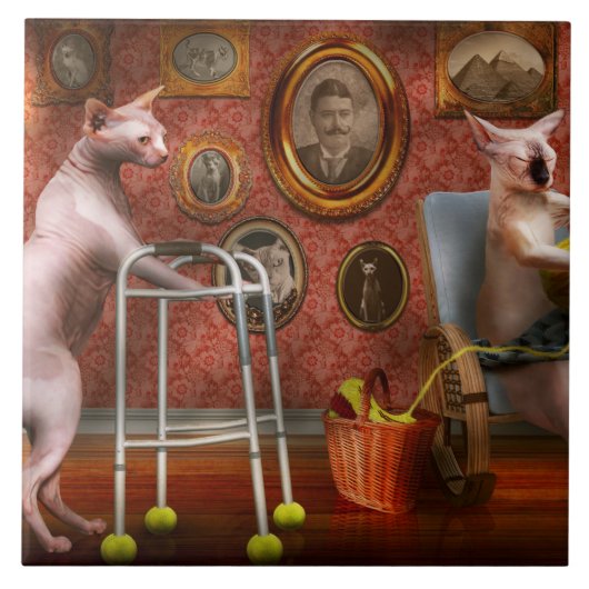 Animal - Cat - Retirement home for cats タイル (正面)