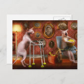 Animal - Cat - Retirement home for cats ポストカード (正面/裏面)