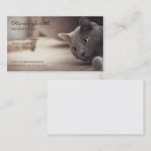 Animal de compagnie, beau chat. 名刺 (正面/裏面)