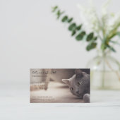 Animal de compagnie, beau chat. 名刺 (スタンド正面)