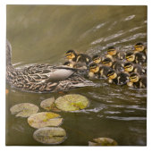 Animal - Ducks - Swim like a duck タイル (正面)