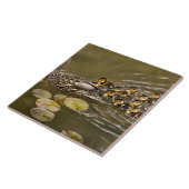 Animal - Ducks - Swim like a duck タイル (側面)