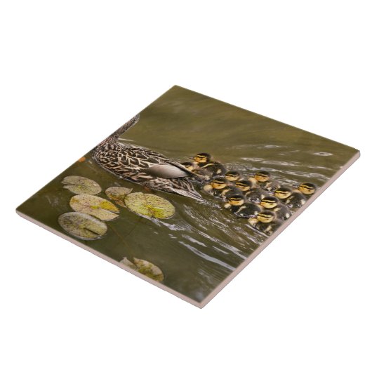Animal - Ducks - Swim like a duck タイル (側面)